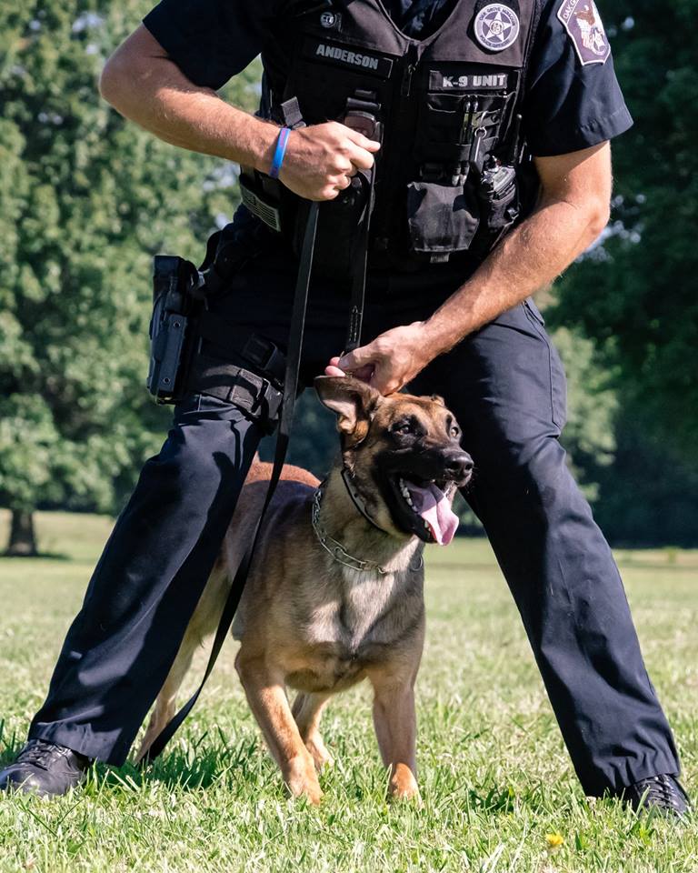 38179672_2106451432903803_8447827777876393984_n